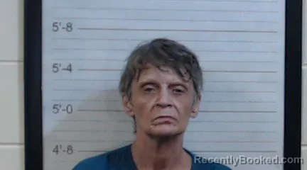 Mugshot of KAREN DENISE JOHNSON booked in Coffee County, Alabama on July 2, 2026