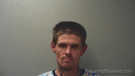 Mugshot of Ivey Kane Tyler booked in Colbert County, Alabama on August 18, 2026