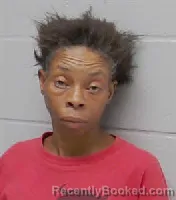 Mugshot of MELONY MICHELLE GROSS booked in Coosa County, Alabama on July 31, 2026