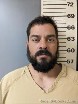 Mugshot of ROY LEE HAWKINS