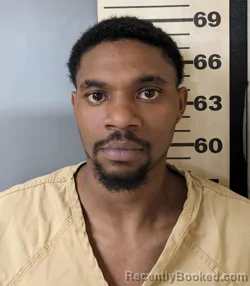 Mugshot of ROZARIO LANTHONEY SALTER