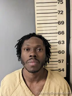 Mugshot of RAYMOND DWAYNE LATTIMORE