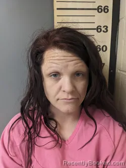 Mugshot of LEHRYNN KYLEEN GALLAGHER