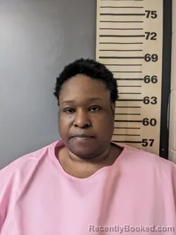 Mugshot of DAMIKA MICHELLE CALDWELL