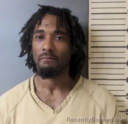 Mugshot of EMANUEL CORDELL LANE