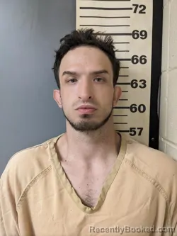 Mugshot of LOGAN JOHNATHON ALLAN HOYT