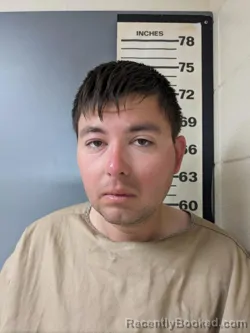 Mugshot of JONATHAN FILLIP LISKIEWICZ