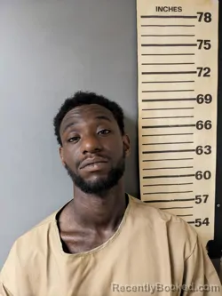 Mugshot of MANDERIUS JAQUAN MOUNT
