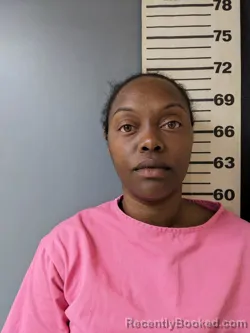Mugshot of QUANISHA TEAROW STOUDEMIRE booked in Covington County, Alabama on April 27, 2026
