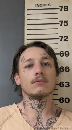 Mugshot of ANTHONY BRYANT TURNEY booked in Covington County, Alabama on May 1, 2026