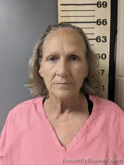 Mugshot of DELENE FAY JAMES booked in Covington County, Alabama on May 2, 2026