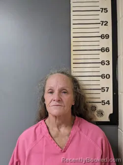 Mugshot of Sue Anne Miller booked in Covington County, Alabama on August 11, 2026