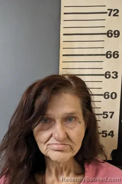 Mugshot of Nellie May Feagin booked in Covington County, Alabama on August 13, 2026