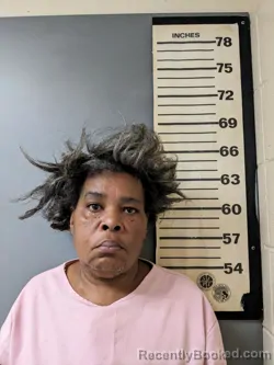 Mugshot of Barbara Ann Wells booked in Covington County, Alabama on August 14, 2026