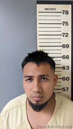 Mugshot of Endry Jose Fernandez booked in Covington County, Alabama on August 15, 2026