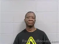 Mugshot of Dawney Terrle Pruitt