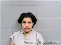 Mugshot of JULIAN ALEXANDER RAUDALES