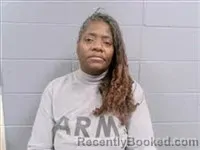 Mugshot of LISA MCDONALD HILLIARD