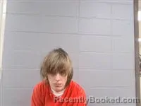 Mugshot of LISA MARIE ELLIS