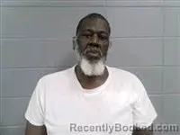 Mugshot of ROBERT JR LANE