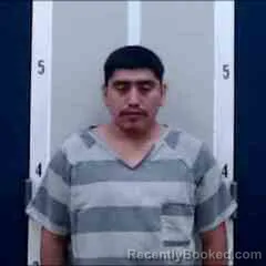 Mugshot of DOMINGO XILOJ TOL