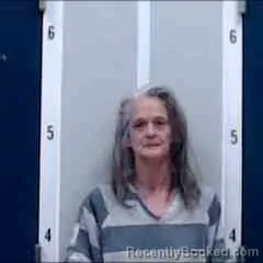 Mugshot of BRANDI DIANE FARMER