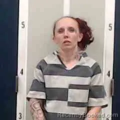 Mugshot of FRANCES NICOLE BASS booked in DeKalb County, Alabama on April 1, 2026