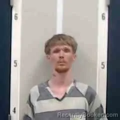 Mugshot of DAMIEN LANE WALKER booked in DeKalb County, Alabama on April 2, 2026