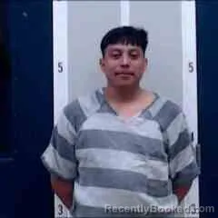 Mugshot of HECTOR D FELIPE FRANCISCO booked in DeKalb County, Alabama on May 30, 2026