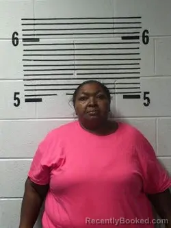 Booking photo from Elmore County, Alabama