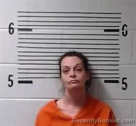 Mugshot of L SALZEDAS booked in Elmore County, Alabama on March 24, 2026