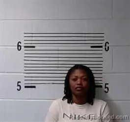 Mugshot of LEWIS LEWIS booked in Elmore County, Alabama on July 29, 2026