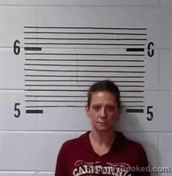 Mugshot of M HOLLON booked in Elmore County, Alabama on March 7, 2026