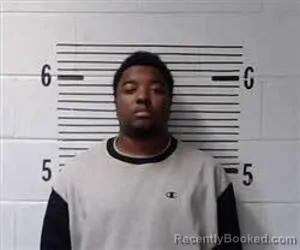 Mugshot of C YOUNG booked in Elmore County, Alabama on March 17, 2026