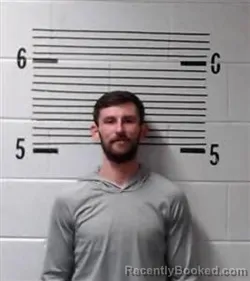 Mugshot of N THORNTON