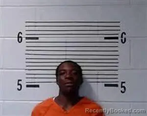 Mugshot of Mcqueen Mcqueen booked in Elmore County, Alabama on July 28, 2026