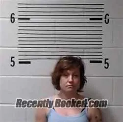 Booking photo from Elmore County, Alabama