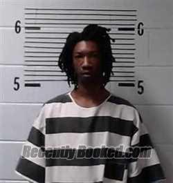 Booking photo from Elmore County, Alabama