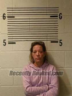 Booking photo from Elmore County, Alabama