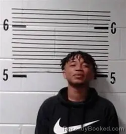 Mugshot of T WILLIAMS