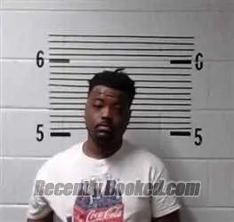 Booking photo from Elmore County, Alabama