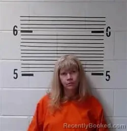 Mugshot of D STANFIELD