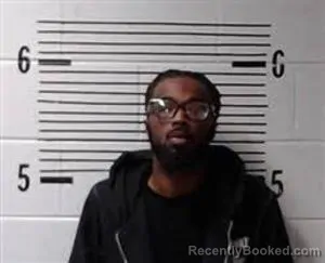 Booking photo from Elmore County, Alabama