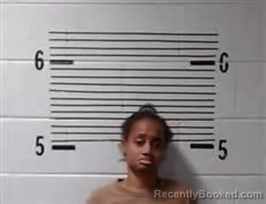 Mugshot of V CHEESE booked in Elmore County, Alabama on March 12, 2026