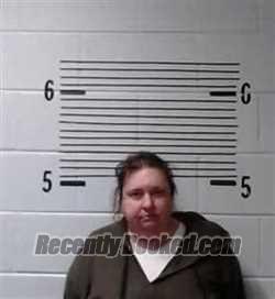 Booking photo from Elmore County, Alabama