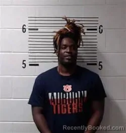 Booking photo from Elmore County, Alabama