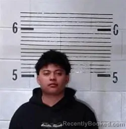 Booking photo from Elmore County, Alabama