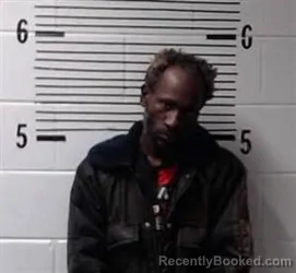 Booking photo from Elmore County, Alabama