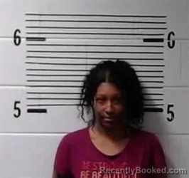 Booking photo from Elmore County, Alabama