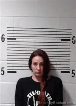 Booking photo from Elmore County, Alabama